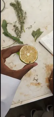 Types pf fruits and their placentation 