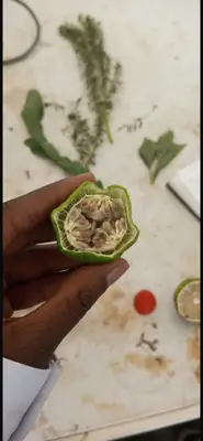 Types pf fruits and their placentation 